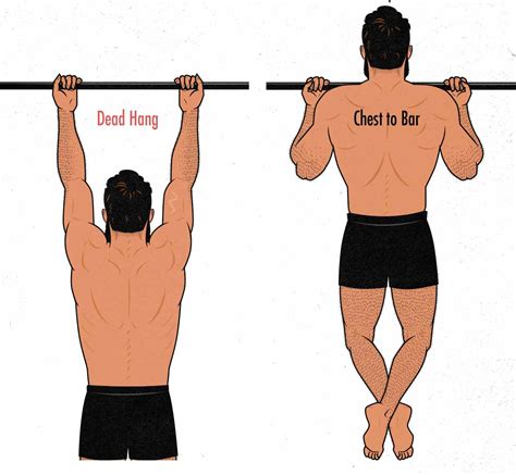 Chin Up! .